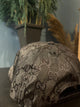 Gcc x Addas " Logo " Baseball Cap styted in Black for Spring&Summer 2023